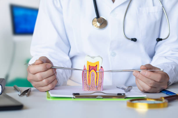 Best Urgent Dental Care for Toothaches in Benton, TN
